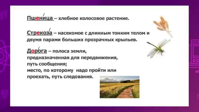 Русский язык. 3 класс. Имя существительное как часть речи /15.01.2021/ смотреть онлайн