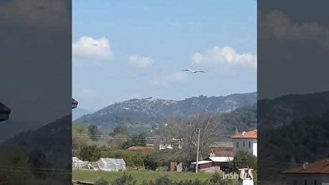 "Мелколесье. Степь и дали..." песня на стихи С.А. Есенина. смотреть онлайн