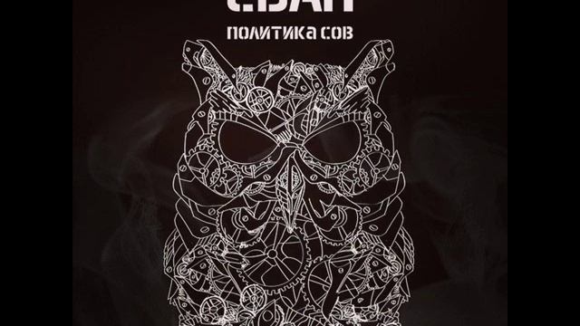 Сван - Политика сов