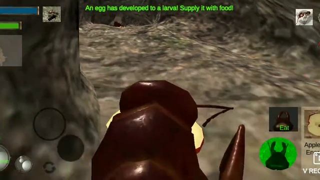 Ant Simulation 3D обзор смотреть онлайн