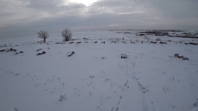 Охота на зайца 2022 - 2023г. Это что-то )))) смотреть онлайн