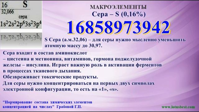 Калий. Сера. Хлор. Метод неумерания. Акантопанакс клещиновидный. смотреть онлайн