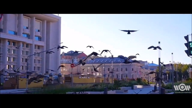 Black Cupro - #ГУЛЯЙВАСЯ (feat. ALATEYA) смотреть онлайн