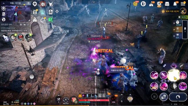Black Desert Mobile Hwaryeong Skill Reviews Invincible Queen смотреть онлайн