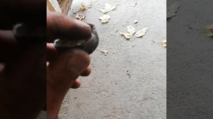 Daewoo nexia замена заглушки блока