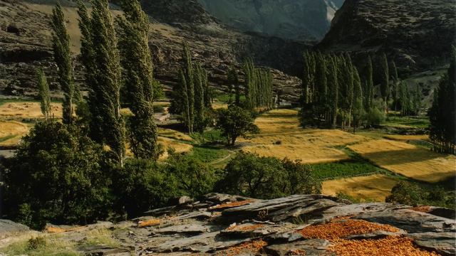 Rag Ahir Bhairav | Hariprasad Chaurasia + Zakir Hussain