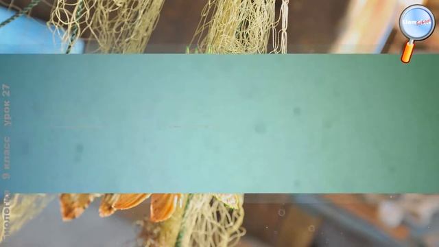 Биология 9 класс (Урок№27 - Адаптация как результат естественного отбора.) смотреть онлайн