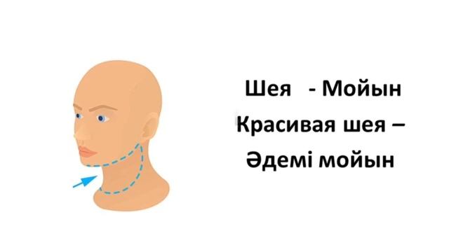 Казахский язык для всех! Части тела на казахском языке смотреть онлайн