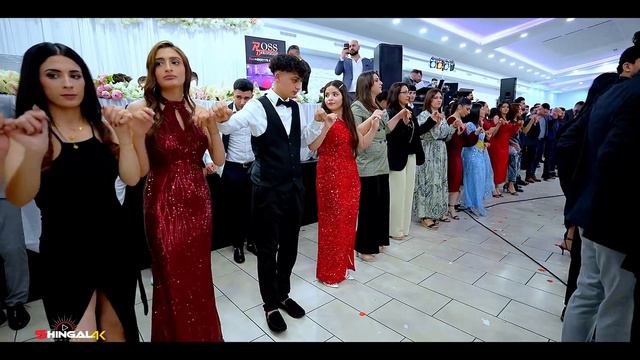 Ajeel & Jenena - Part 4 - Daxil Osman - Ross Deko - #Shingal_Company смотреть онлайн