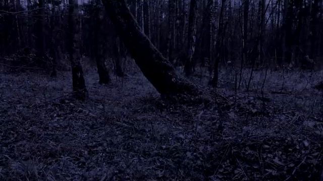 Музыка для сна! Звук Дождя и Грома.  6 Часов Для Глубокого Сна и Релаксации