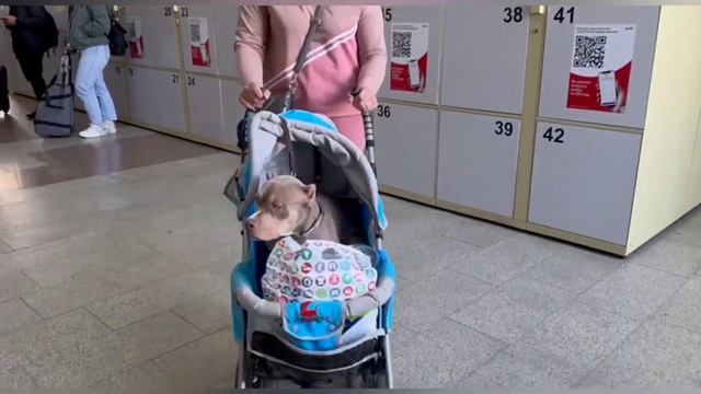 Ненси❤️Куда приехала Ненси? Большая семья...