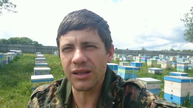 А ты бросил пчеловодство? смотреть онлайн