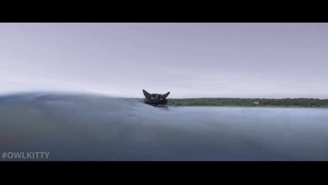 CLAWS! (Jaws OwlKitty parody) смотреть онлайн