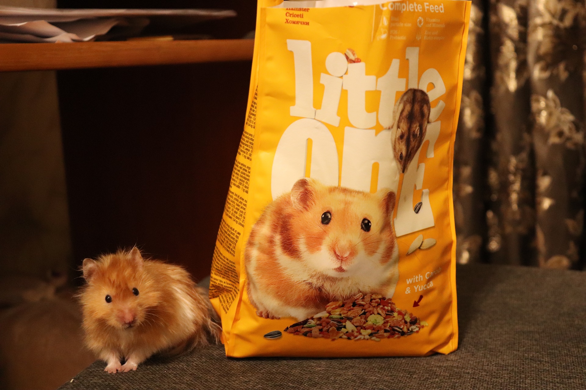 ЧЕМ КОРМИТЬ ХОМЯЧКОВ? ХОМЯЧКАМ 16 ДНЕЙ ОТ РОДУ смотреть онлайн