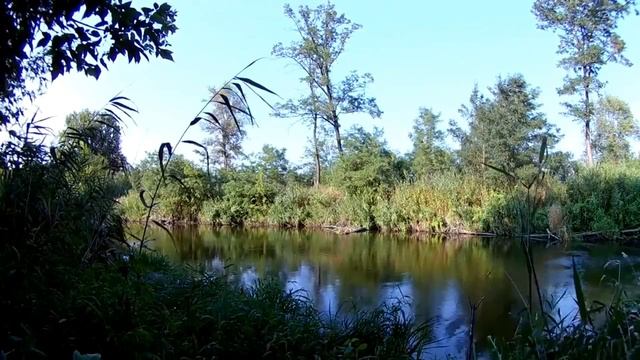 Самый лучший день! Рыбалка на реке Уды. Сазан, карась, плотва и густера. смотреть онлайн