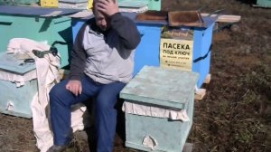 Привезли купленных пчёл на пасеку, что дальше делать.