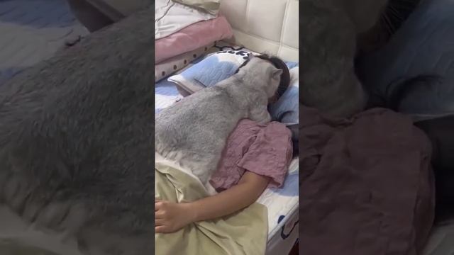 Выходные придавили? смотреть онлайн