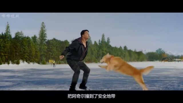 《哈喽，酷狗》狗狗继承百亿遗产，却被坏人夺取，一怒之下叫来了几百兄弟 смотреть онлайн