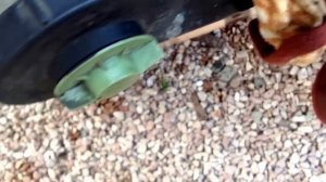 Проверка свечей накала на т4