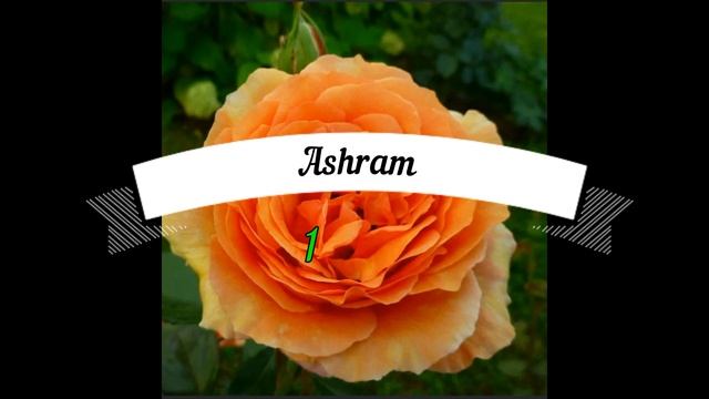 Роза Ashram.Роза Тантау. Что в имени твоем?! Часть 3 смотреть онлайн