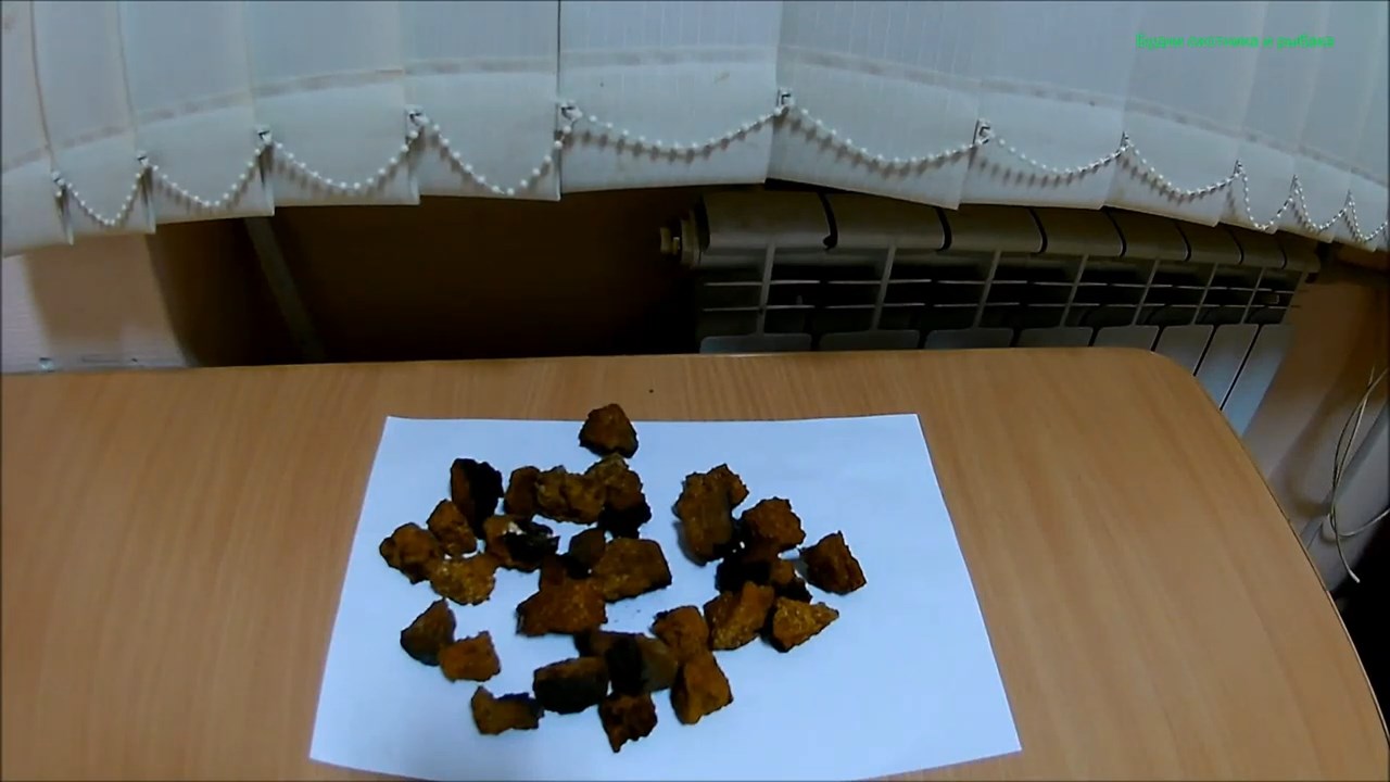 Полезные свойства и противопоказания чаги (Будни охотника и рыбака) смотреть онлайн