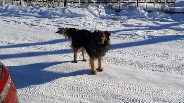 Урень, солнце, тишина.. смотреть онлайн