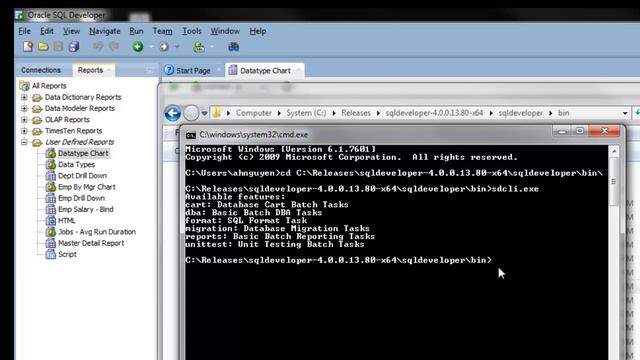 Generate HTML Report using SQL Developer Command Line смотреть онлайн