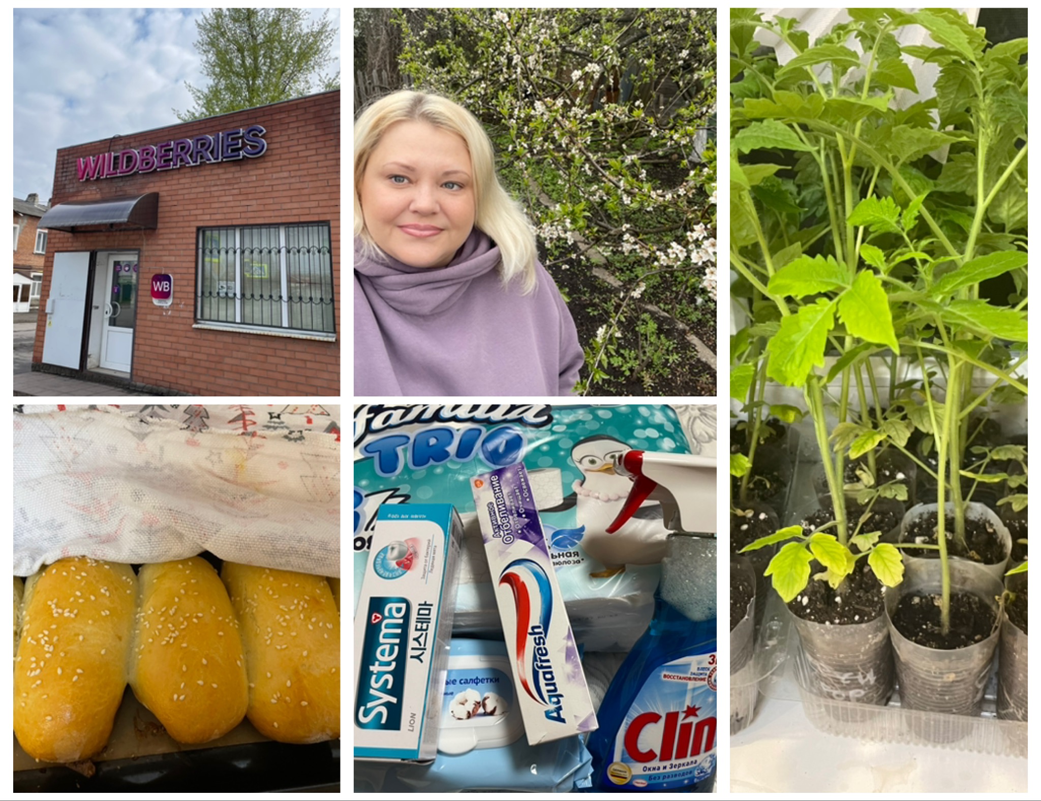 VLOG/ФИКС ПРАЙС/ПРОВЕДАЛИ ДАЧУ/ЗАКАЗЫ С ВАЛБЕРИС/ГОТОВКА смотреть онлайн