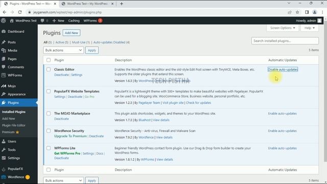 How to Enable the Auto Update on your WordPress Theme and Plugins? смотреть онлайн