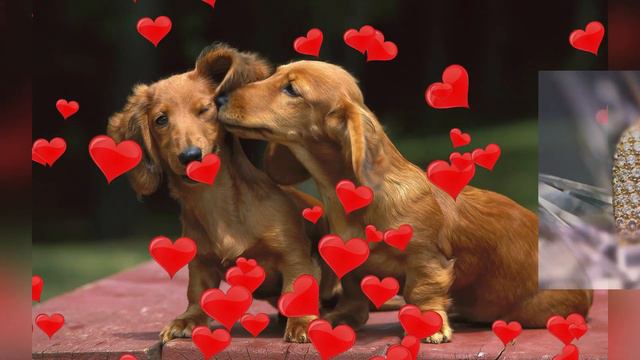 С 8 Марта! С Международным женским днем!!! смотреть онлайн