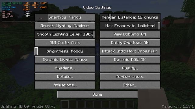 Minecraft v1.17.1 + SEUS Renewed | GTX 1650S 4GB - Ryzen 5 3600 | смотреть онлайн