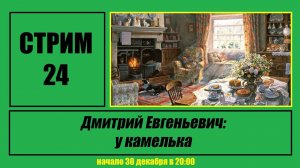 Стрим #24 "Дмитрий Евгеньевич: у камелька"