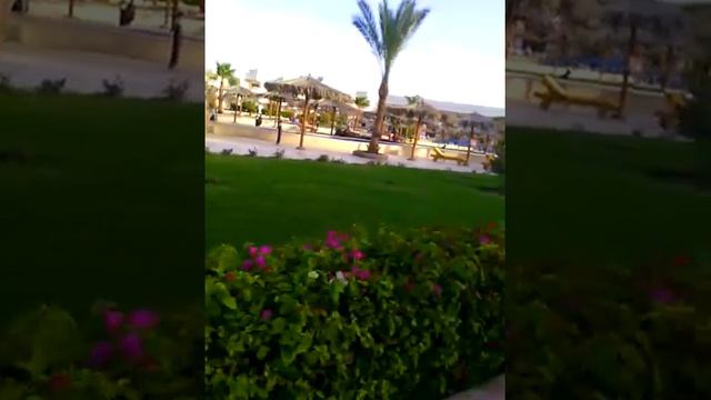 Прогулка Утро .Солнце Воздух и Вода.Цветы и Красота. смотреть онлайн