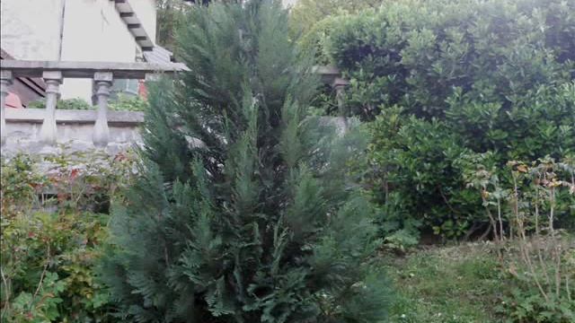 ПРИШЛА ВЕСНА, ОТКРЫВАЙ ВОРОТА НА ДАЧЕ. смотреть онлайн