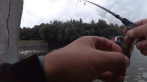 ПЕРВЫЕ ВПЕЧАТЛЕНИЯ ОТ НОВОГО СПИННИНГА. РЫБАЛКА НА МОСКВЕ-РЕКЕ. СТРИТФИШИНГ С NAUTILUS VERONA 842ML