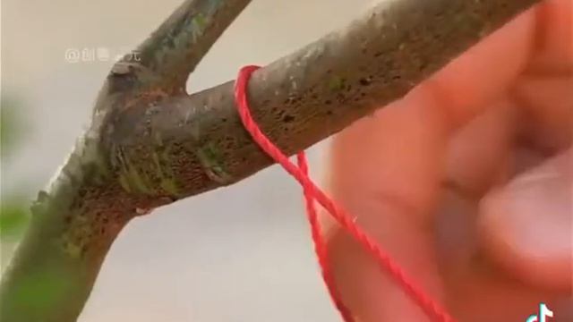 Сколько живу не думал что, такое возможное 😉 смотреть онлайн