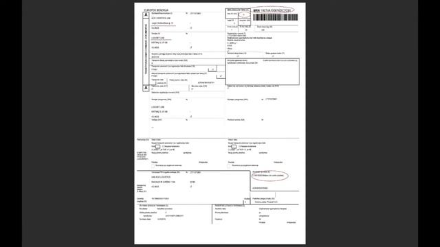 ТРАНЗИТНАЯ ДЕКЛАРАЦИЯ смотреть онлайн
