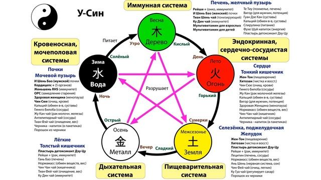 №2. Знакомство с Рейши и Женьшенем Coffeecell. Учения У-син. Михайлова И.Л. смотреть онлайн