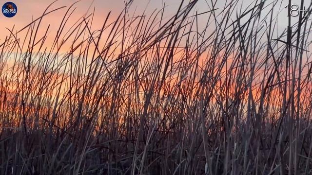 ОХОТА в АСТРАХАНИ! СТРЕЛЯЕМ ВСЁ! смотреть онлайн