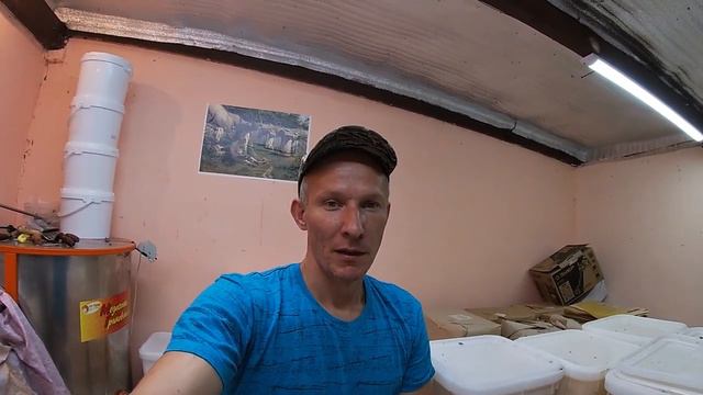 Про мёд 🍯 смотреть онлайн