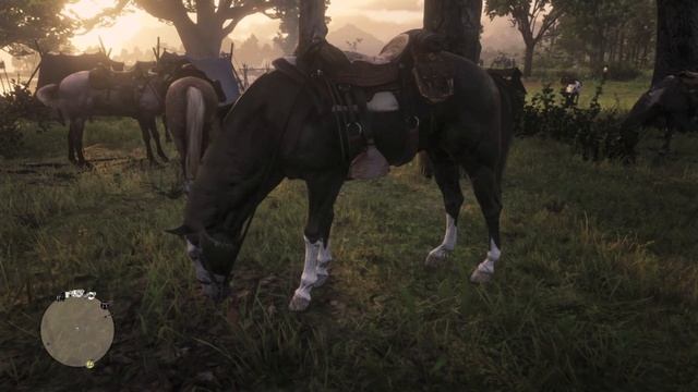 Idle Speculation on Boadicea, Arthur's First Horse in Red Dead Redemption 2 смотреть онлайн