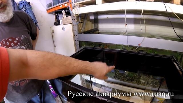 Комплект - аквариум, крышка, свет, фон смотреть онлайн