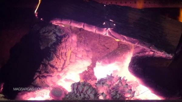 Apple Airpods Отзыв - Мнение об инновациях - Маг Sargas