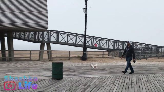 СОЦИАЛЬНЫЙ НЬЮ-ЙОРК. ЖИЗНЬ В НЬЮ-ЙОРКЕ. смотреть онлайн