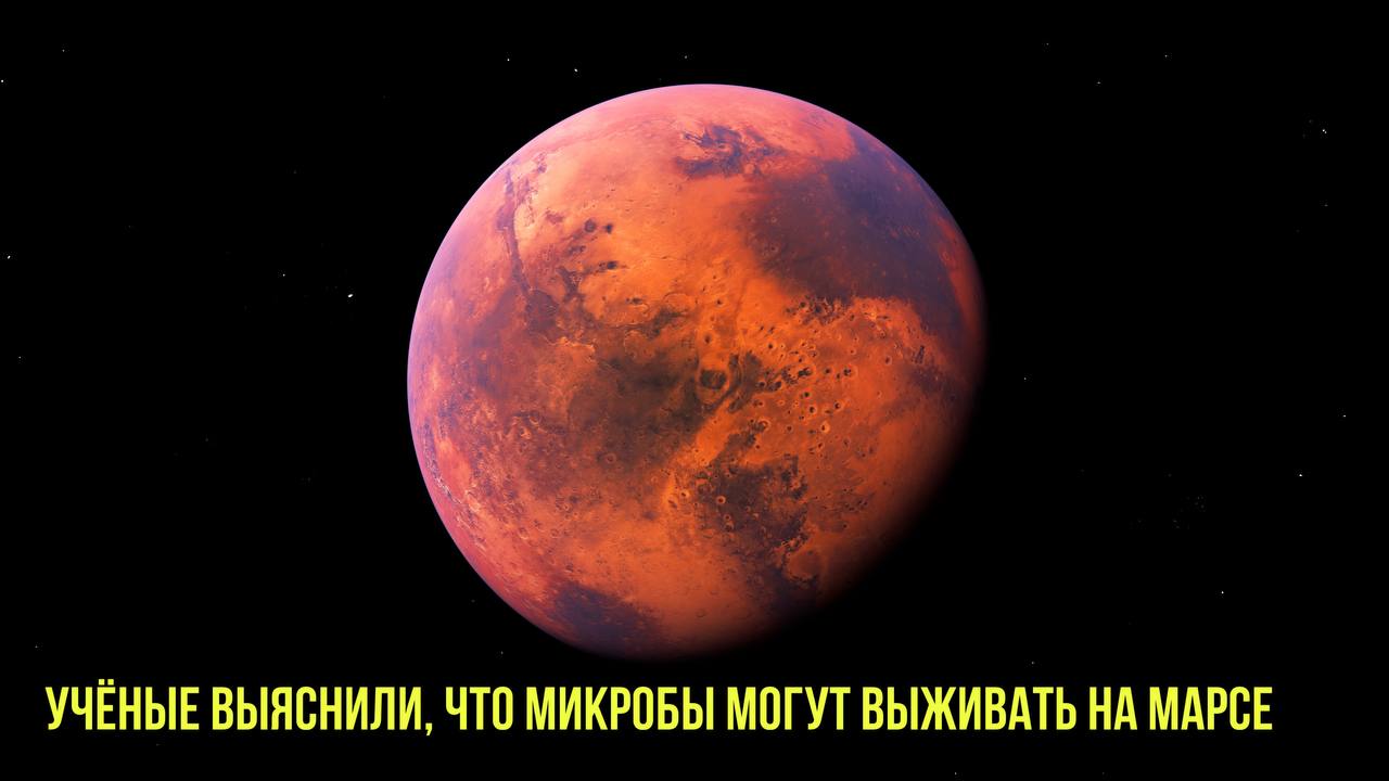 Учёные выяснили, что микробы могут выживать на Марсе | Новости Первого смотреть онлайн