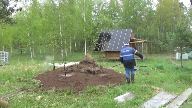 Как Сажал Сливу по Новой Технологии в Гряды - Весна смотреть онлайн