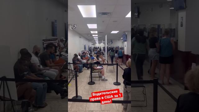 Водительские права в США по туристической визе за 1 день смотреть онлайн
