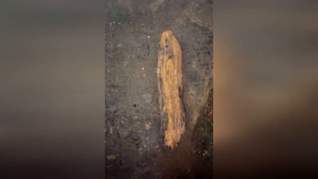 Оксана Винокурова / Об истории Лисаковской археологической экспедиции / Desht-Thor Festival 2020 смотреть онлайн