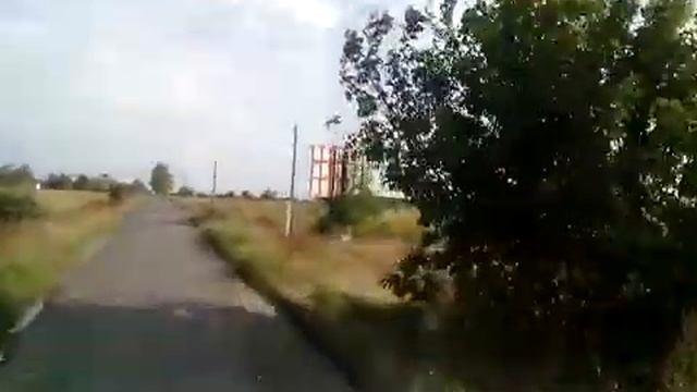 Как правильно выращивать подсолнух смотреть онлайн