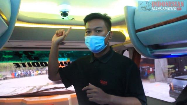 Bus Spesial! 27 Trans Java Malang-Jakarta | PO 27 Trans President & Executive Class смотреть онлайн